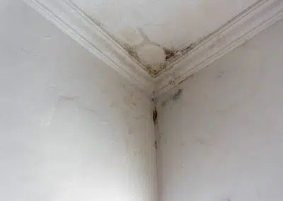mouldy ceiling